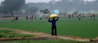 Seeds of rural recovery: States must consider accommodating returnee migrants in small-farming